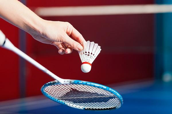 Overview of Badminton